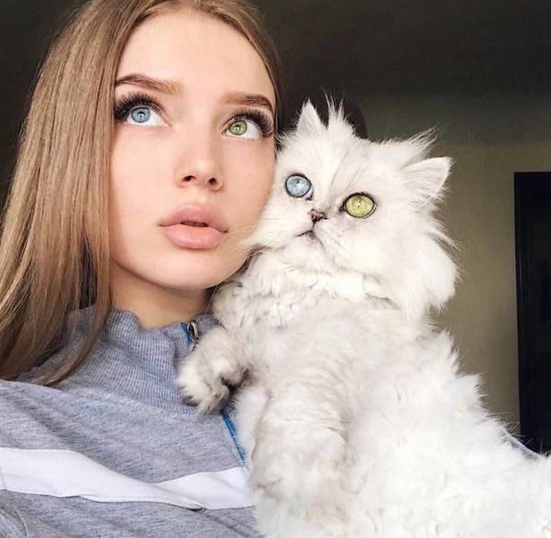 Прикольные картинки