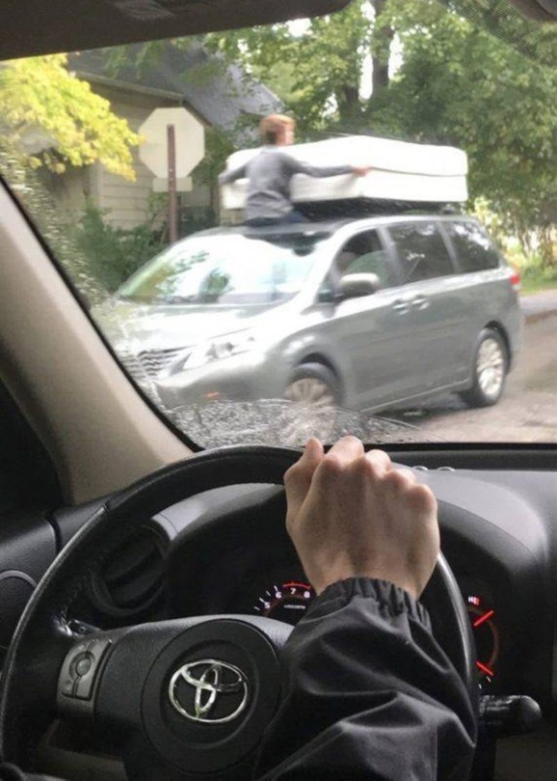 Прикольные картинки