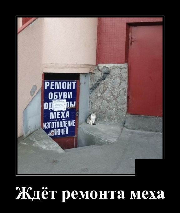 Демотиваторы