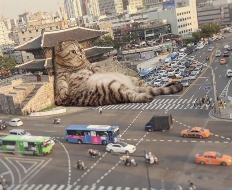 Прикольные картинки