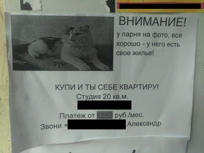 Прикольные картинки