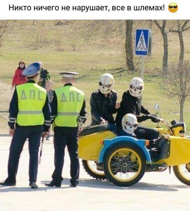 Прикольные картинки