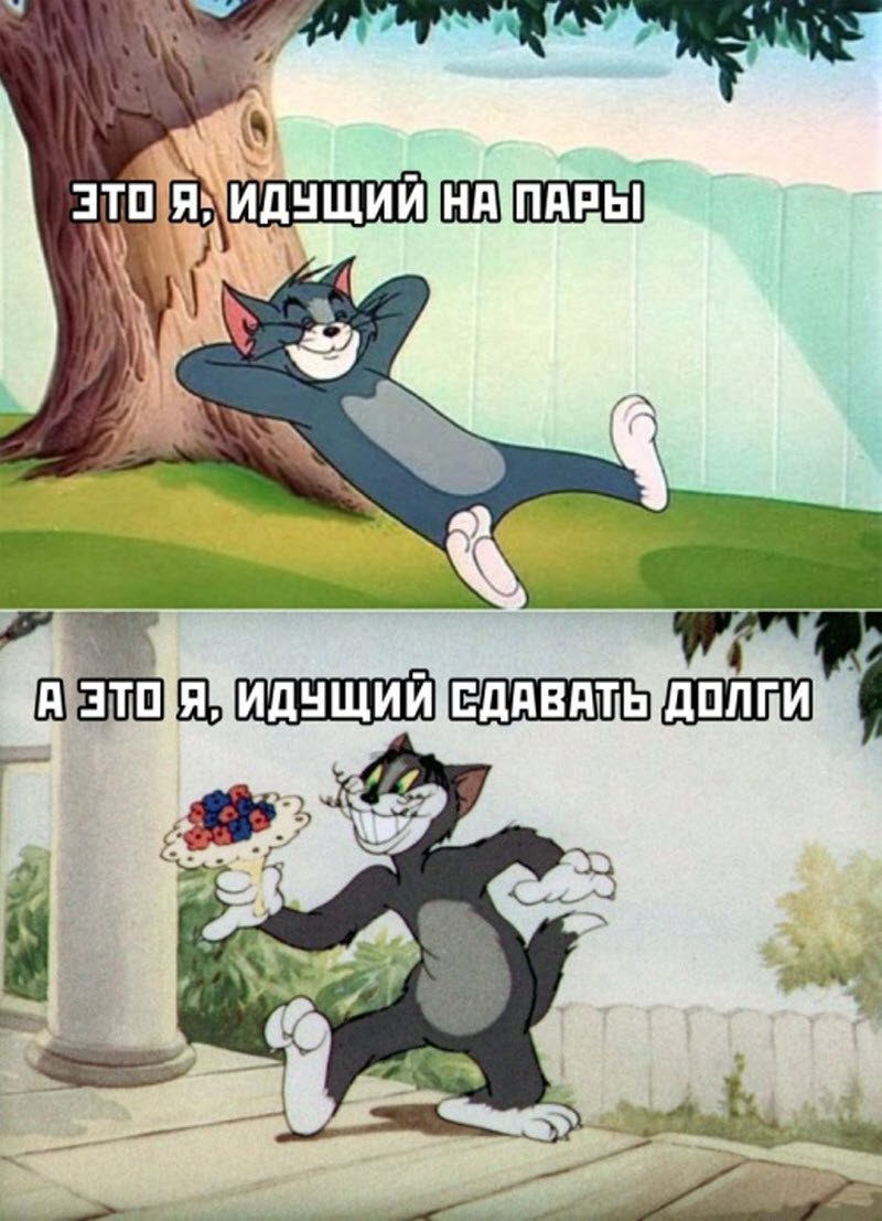 Прикольные картинки