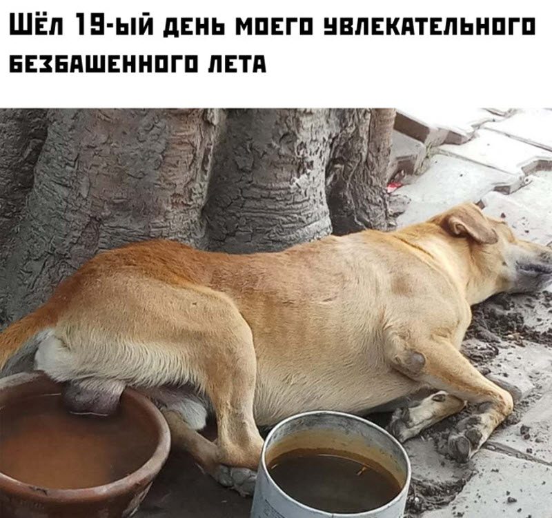 Прикольные картинки