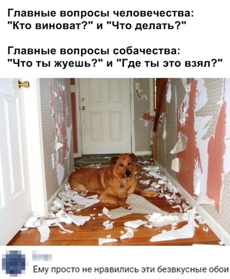 Прикольные картинки