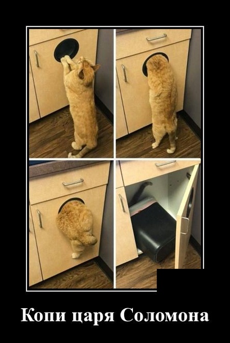 Демотиваторы