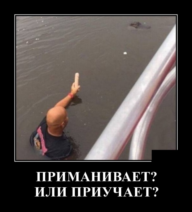 Демотиваторы