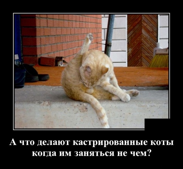 Демотиваторы