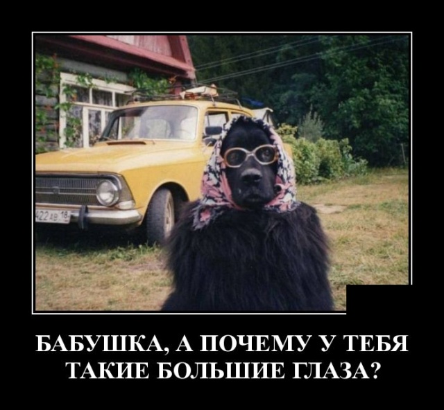 Демотиваторы