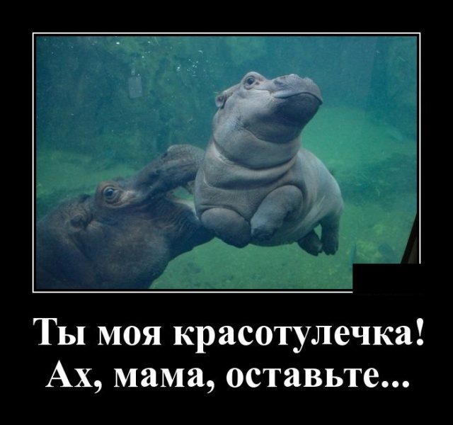 Демотиваторы