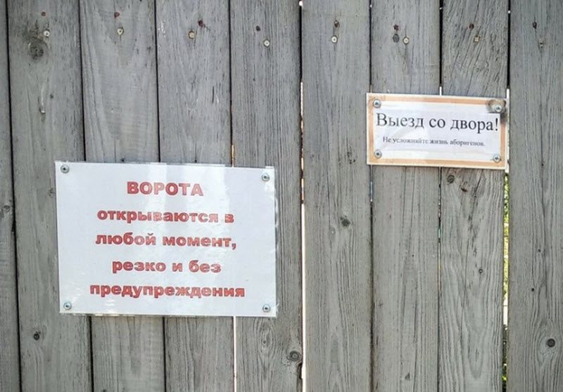 Прикольные картинки