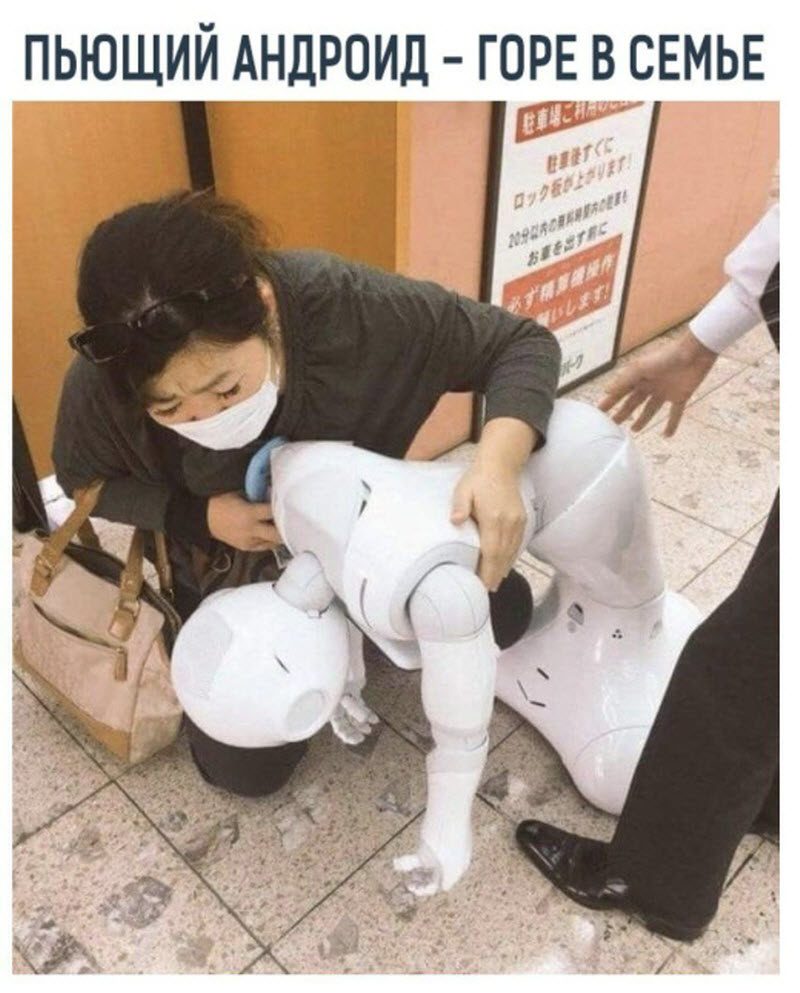 Прикольные картинки