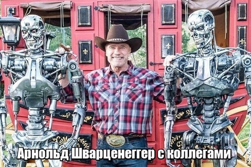 Прикольные картинки