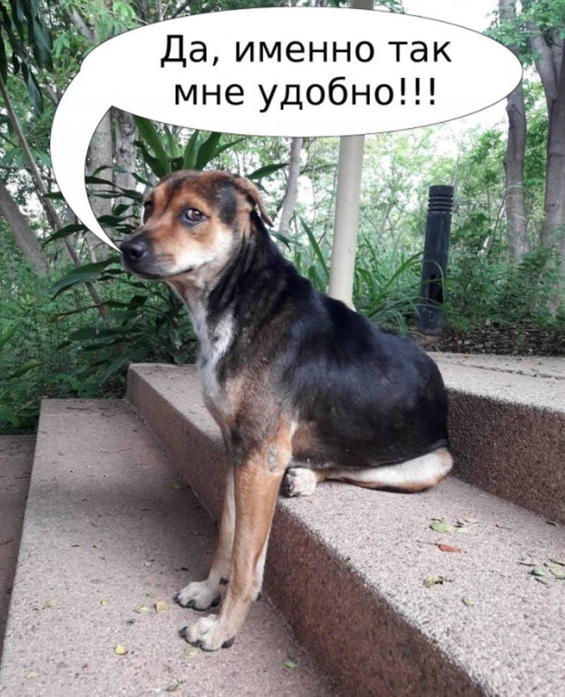 Прикольные картинки