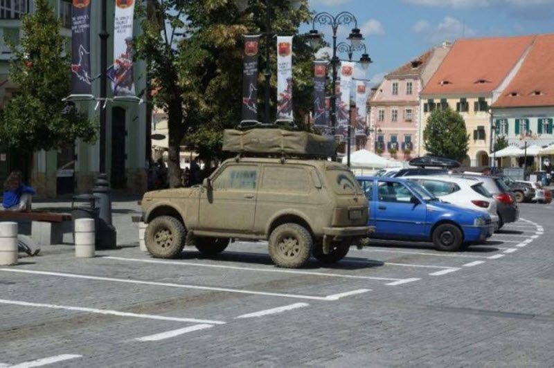 Прикольные картинки