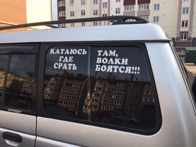 Прикольные картинки