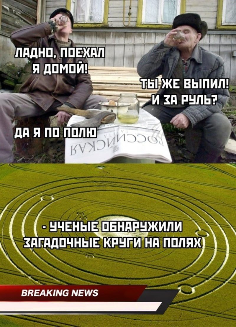 Прикольные картинки
