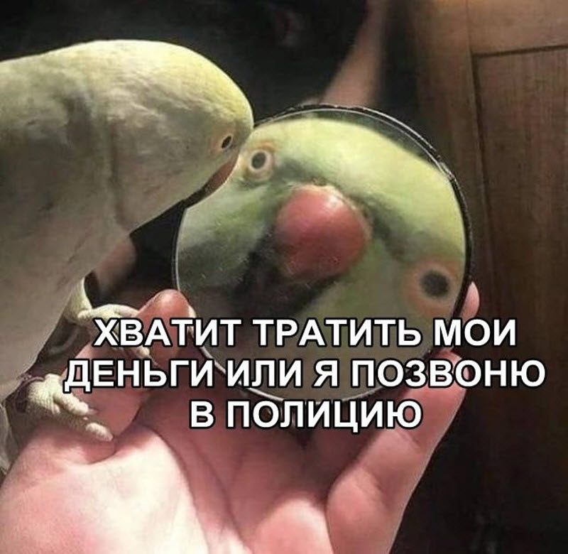 Прикольные картинки