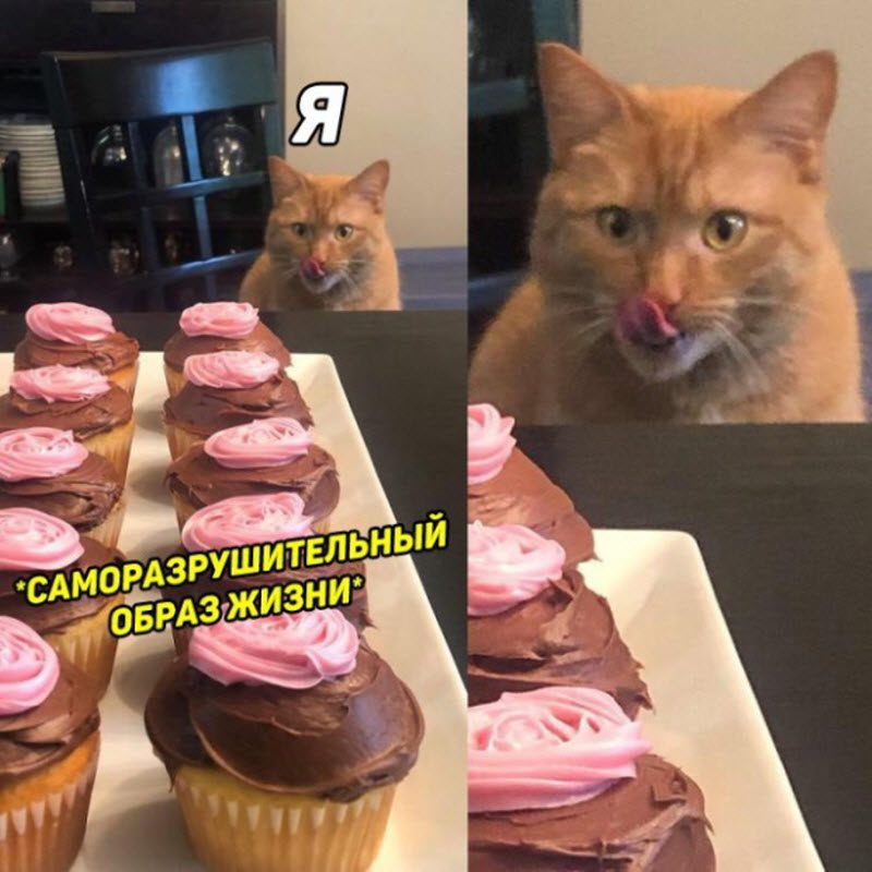 Прикольные картинки
