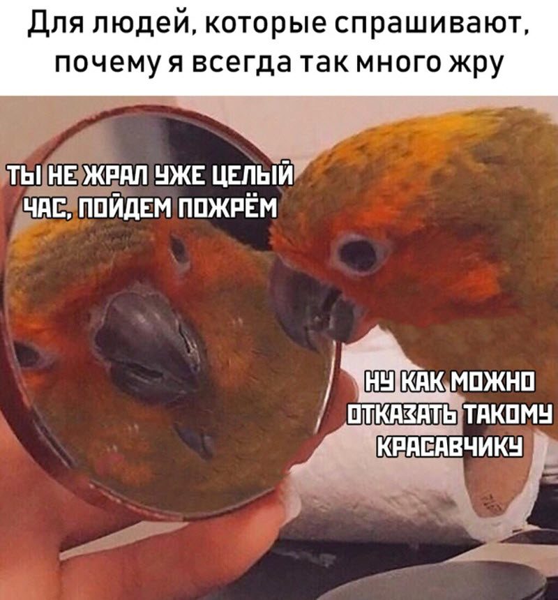 Прикольные картинки