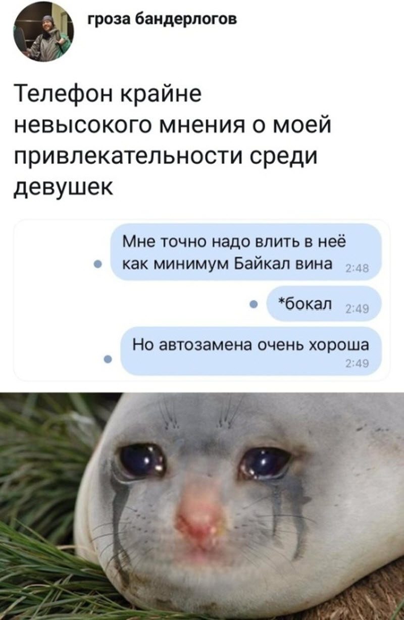 Прикольные картинки