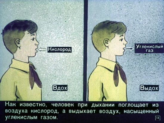 Диафильм 1970 года для школьников. Как выжить в условиях ядерной войны