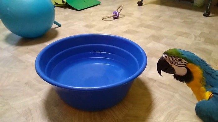 Как справляться с жарой без кондиционера