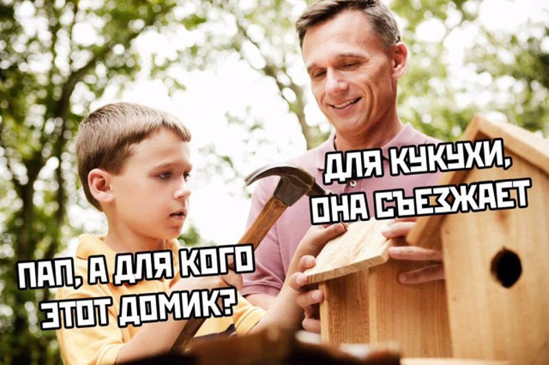 Прикольные картинки