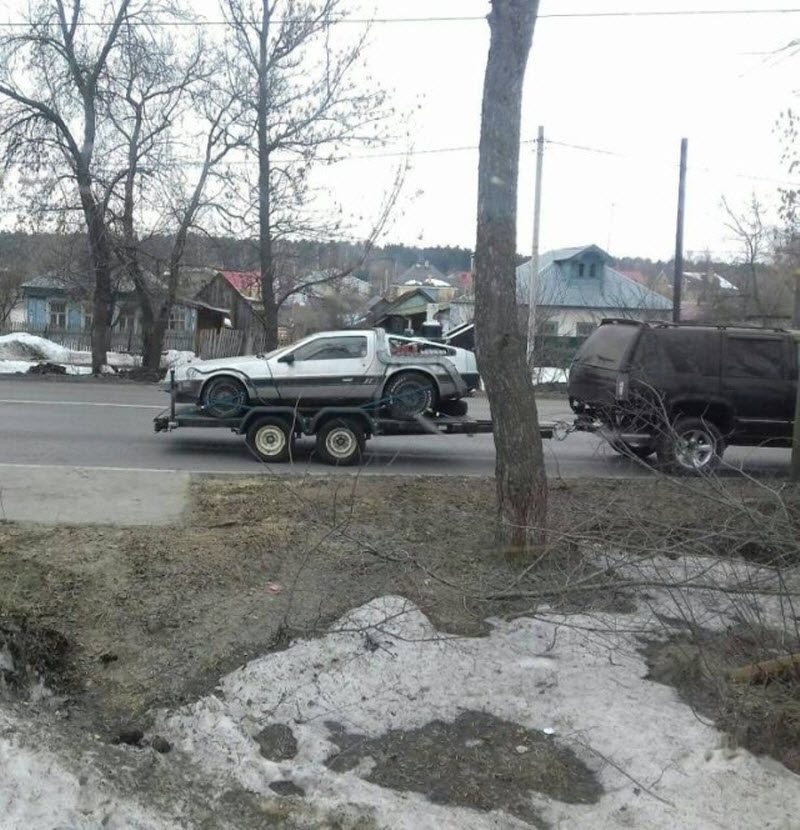 Прикольные картинки