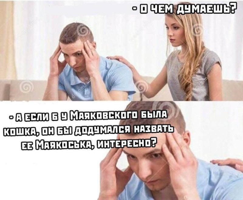 Прикольные картинки