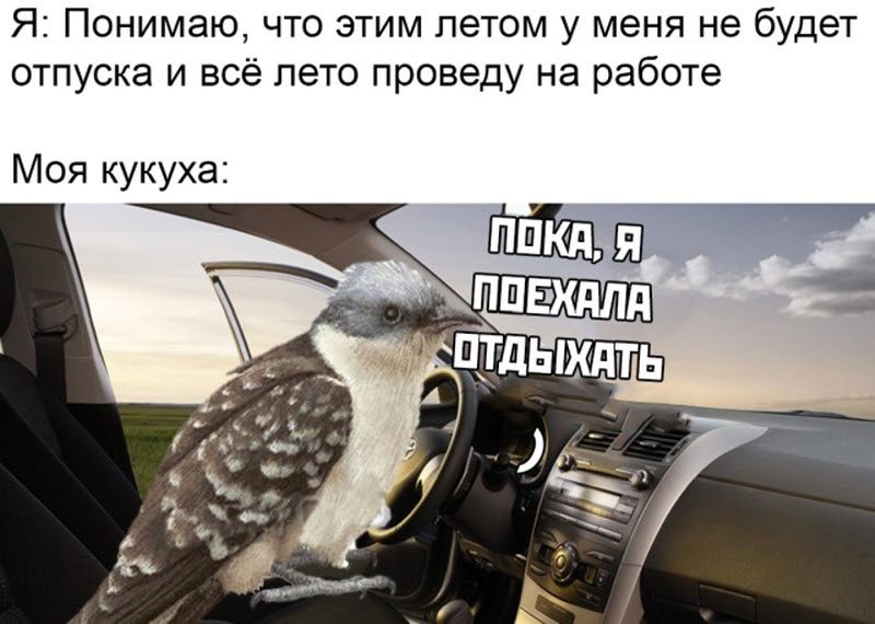Прикольные картинки