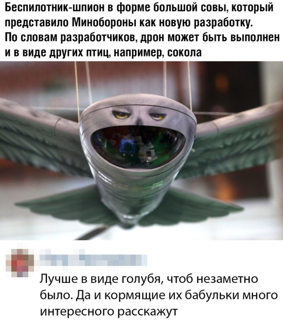 Немного шуток из социальных сетей