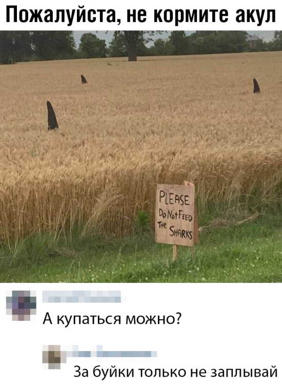 Немного шуток из социальных сетей