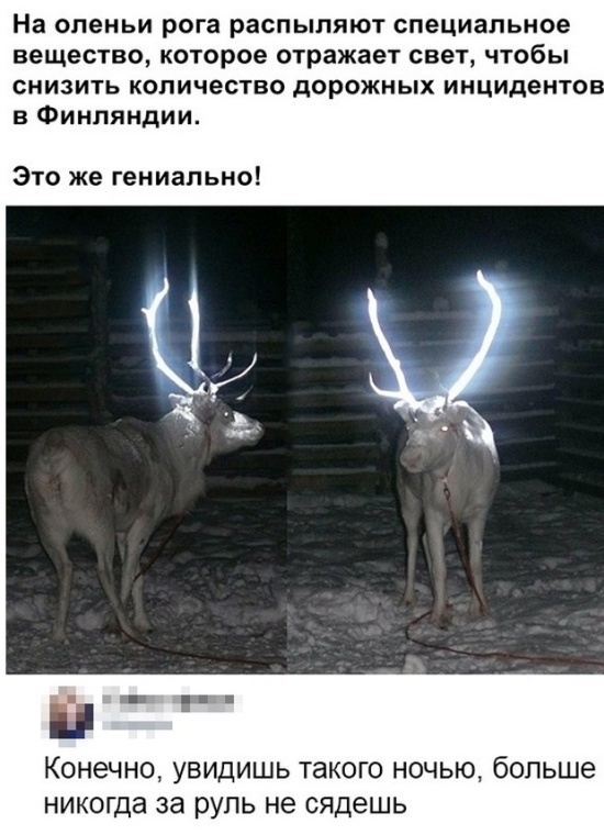 Немного шуток из социальных сетей