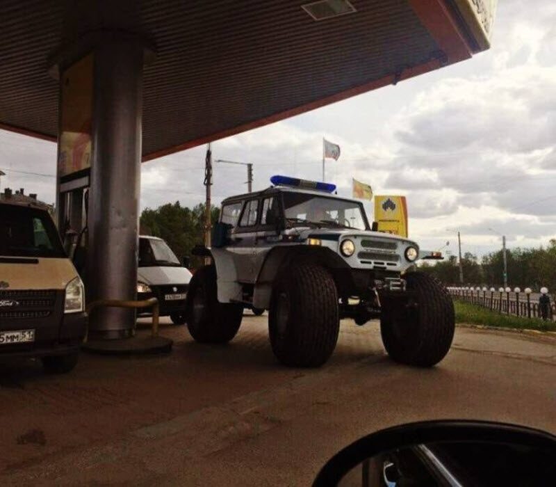 Прикольные картинки