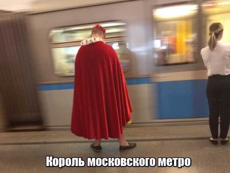 Прикольные картинки