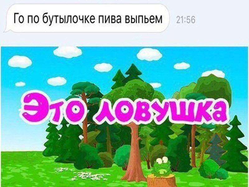 Прикольные картинки