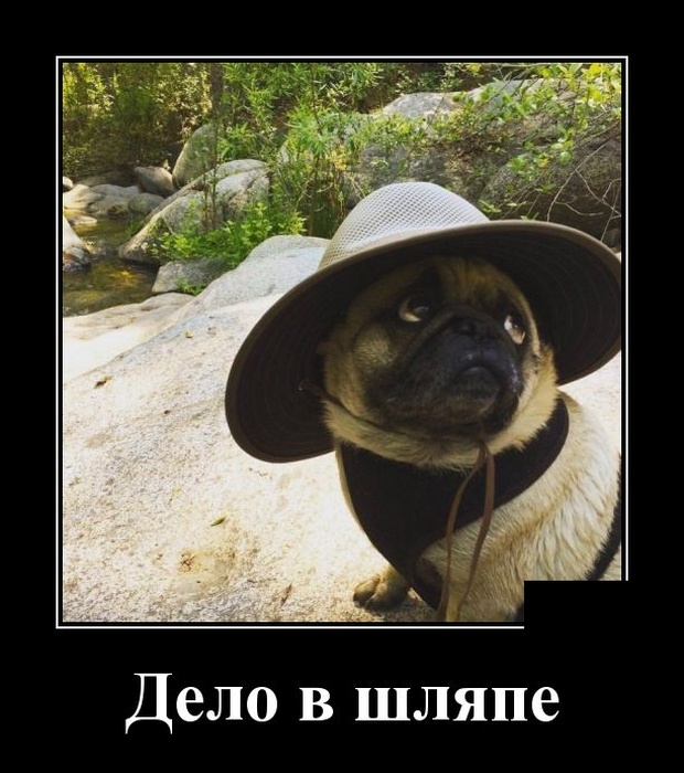 Демотиваторы