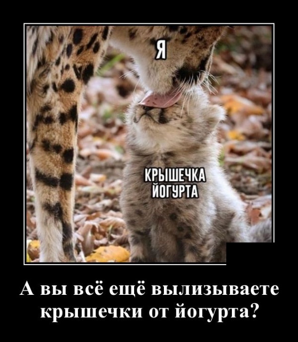 Демотиваторы