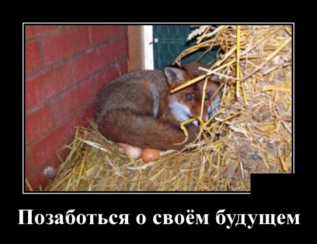 Демотиваторы