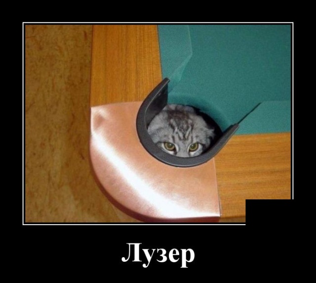 Демотиваторы