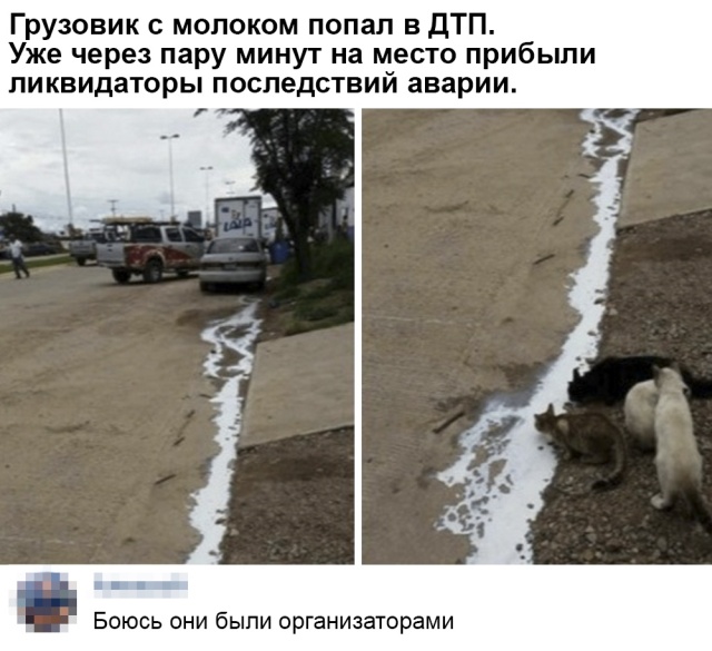 Шутки и комментарии из социальных сетей