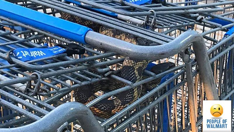 Экстравагантные покупатели Walmart
