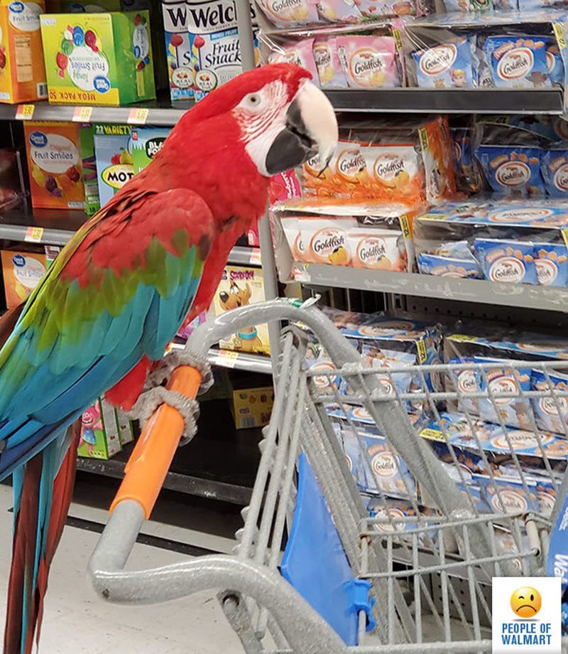 Экстравагантные покупатели Walmart