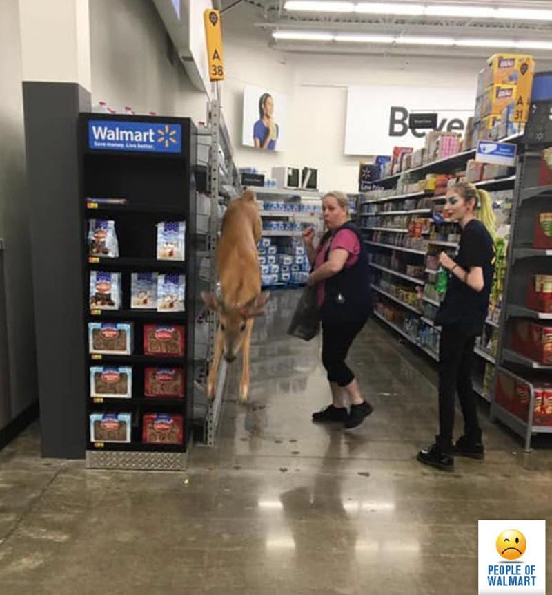 Экстравагантные покупатели Walmart
