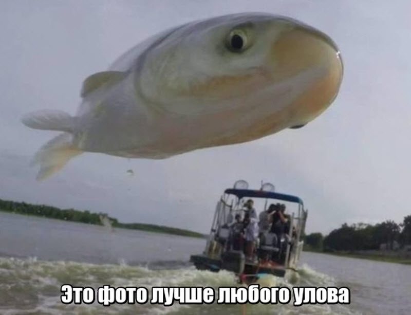 Прикольные картинки