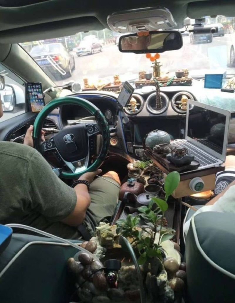 Прикольные картинки