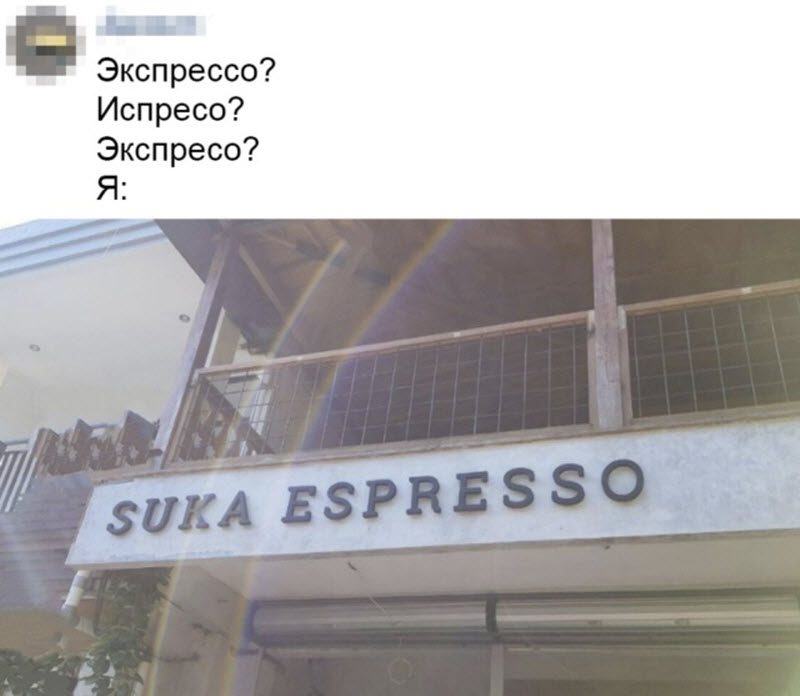 Прикольные картинки