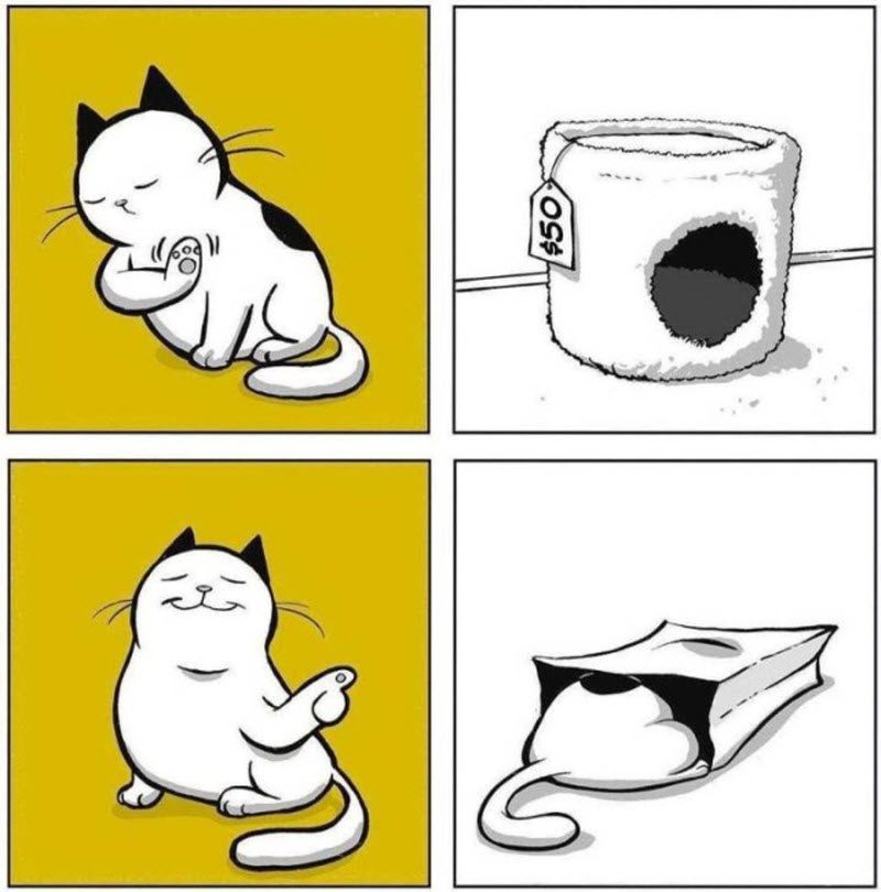 Прикольные картинки