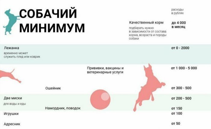 Занимательные и полезные шпаргалки о домашних питомцах